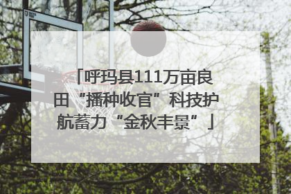 呼玛县111万亩良田“播种收官”科技护航蓄力“金秋丰景”