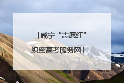 咸宁“志愿红”织密高考服务网