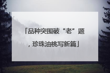 品种突围破“老”题，珍珠油桃写新篇
