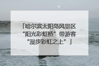 哈尔滨太阳岛风景区“阳光彩虹桥”带游客“漫步彩虹之上”