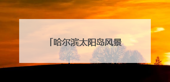 哈尔滨太阳岛风景区添新景迎端午