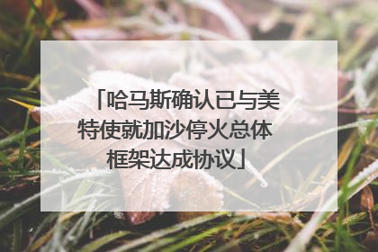 哈马斯确认已与美特使就加沙停火总体框架达成协议