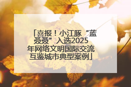 喜报！小江豚“蓝叒叒”入选2025年网络文明国际交流互鉴城市典型案例