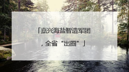 嘉兴海盐智造军团，全省“出圈”