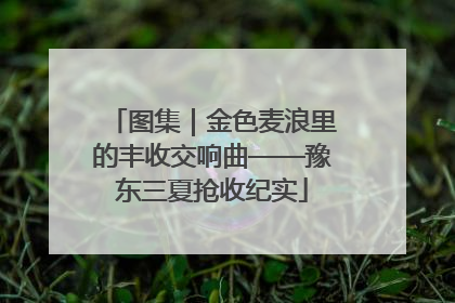 图集｜金色麦浪里的丰收交响曲——豫东三夏抢收纪实