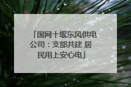 国网十堰东风供电公司：支部共建 居民用上安心电