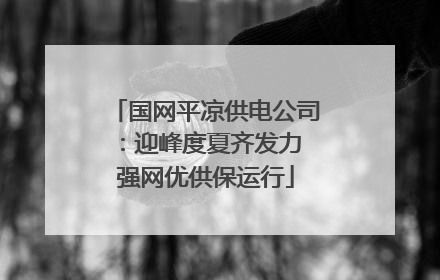 国网平凉供电公司：迎峰度夏齐发力 强网优供保运行