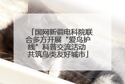 国网新疆电科院联合多方开展“爱鸟护线”科普交流活动 共筑鸟类友好城市