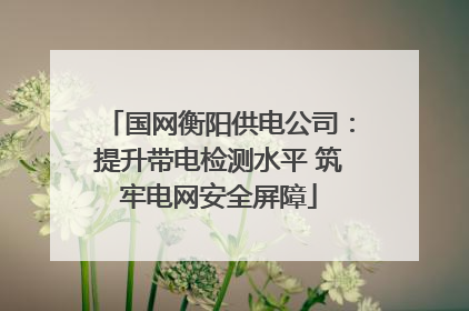 国网衡阳供电公司：提升带电检测水平 筑牢电网安全屏障