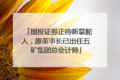 国投证券正待新掌舵人，原董事长已出任五矿集团总会计师