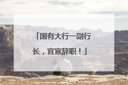 国有大行一副行长，官宣辞职！