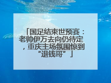 国足结束世预赛：老帅伊万去向仍待定，重庆主场氛围惊到“退钱哥”