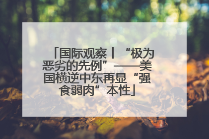 国际观察丨“极为恶劣的先例”——美国横逆中东再显“强食弱肉”本性