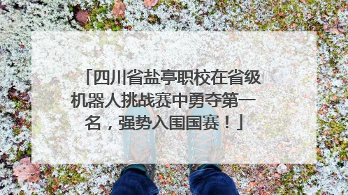 四川省盐亭职校在省级机器人挑战赛中勇夺第一名，强势入围国赛！