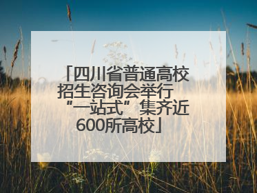 四川省普通高校招生咨询会举行 “一站式”集齐近600所高校