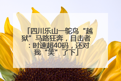 四川乐山一鸵鸟“越狱”马路狂奔，目击者：时速超40码，还对我“笑”了下