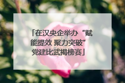 在汉央企举办“赋能提效 聚力突破”党建比武揭榜赛