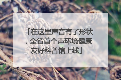 在这里声音有了形状，全省首个声环境健康友好科普馆上线