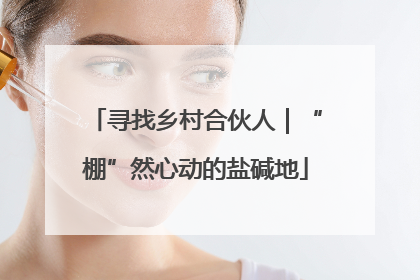 寻找乡村合伙人｜“棚”然心动的盐碱地