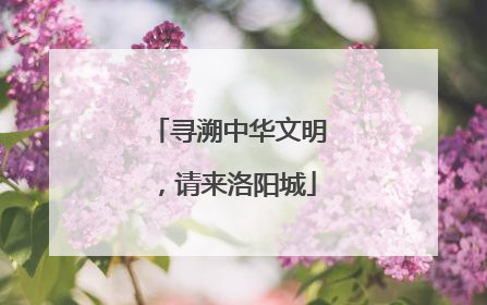 寻溯中华文明，请来洛阳城