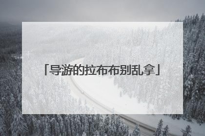 导游的拉布布别乱拿