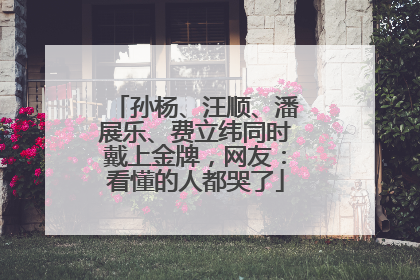 孙杨、汪顺、潘展乐、费立纬同时戴上金牌，网友：看懂的人都哭了