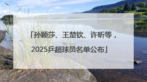孙颖莎、王楚钦、许昕等，2025乒超球员名单公布