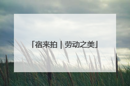 宿来拍｜劳动之美