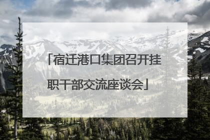 宿迁港口集团召开挂职干部交流座谈会