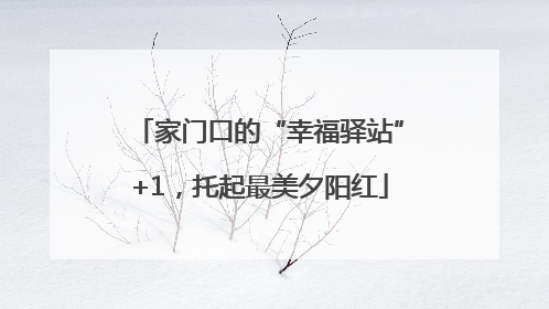 家门口的“幸福驿站”+1，托起最美夕阳红