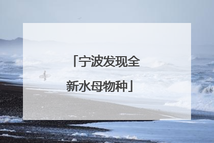 宁波发现全新水母物种