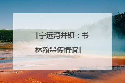 宁远湾井镇：书林翰墨传情谊