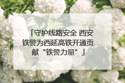 守护线路安全 西安铁警为西延高铁开通贡献“铁警力量”