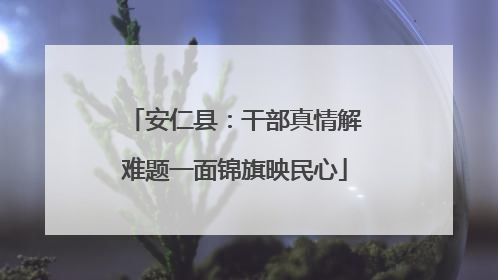 安仁县：干部真情解难题一面锦旗映民心