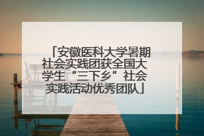 安徽医科大学暑期社会实践团获全国大学生“三下乡”社会实践活动优秀团队