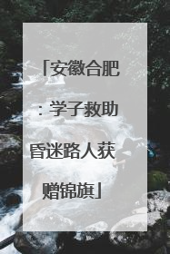 安徽合肥：学子救助昏迷路人获赠锦旗