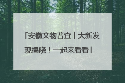 安徽文物普查十大新发现揭晓！一起来看看