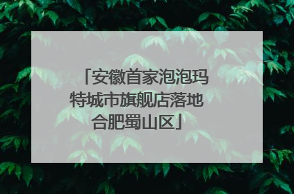 安徽首家泡泡玛特城市旗舰店落地合肥蜀山区