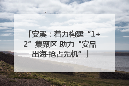 安溪：着力构建“1+2”集聚区 助力“安品出海·抢占先机”