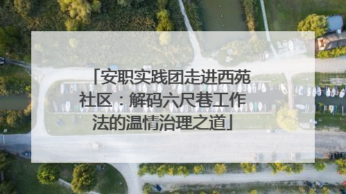 安职实践团走进西苑社区：解码六尺巷工作法的温情治理之道