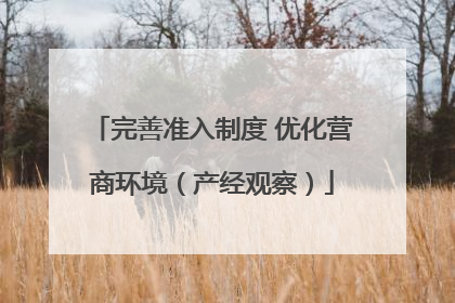 完善准入制度 优化营商环境（产经观察）