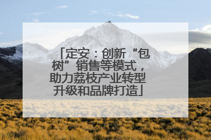 定安：创新“包树”销售等模式，助力荔枝产业转型升级和品牌打造