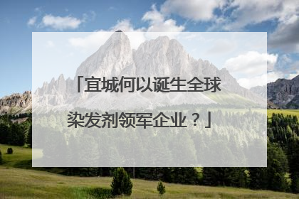 宜城何以诞生全球染发剂领军企业？