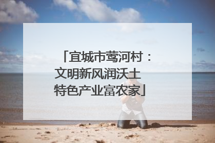 宜城市莺河村：文明新风润沃土 特色产业富农家