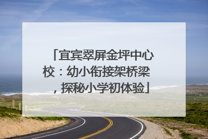 宜宾翠屏金坪中心校：幼小衔接架桥梁，探秘小学初体验