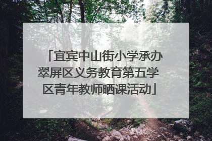 宜宾中山街小学承办翠屏区义务教育第五学区青年教师晒课活动