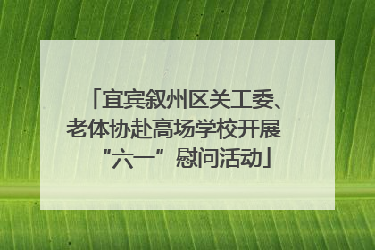 宜宾叙州区关工委、老体协赴高场学校开展“六一”慰问活动