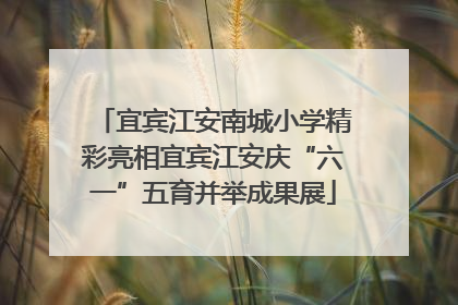 宜宾江安南城小学精彩亮相宜宾江安庆“六一”五育并举成果展