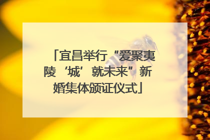 宜昌举行“爱聚夷陵‘城’就未来”新婚集体颁证仪式
