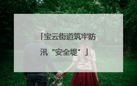 宝云街道筑牢防汛“安全堤”